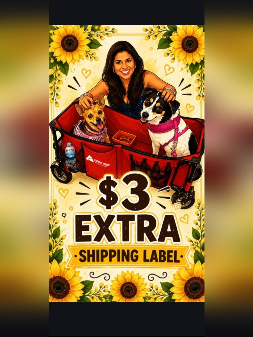 Extra Shipping